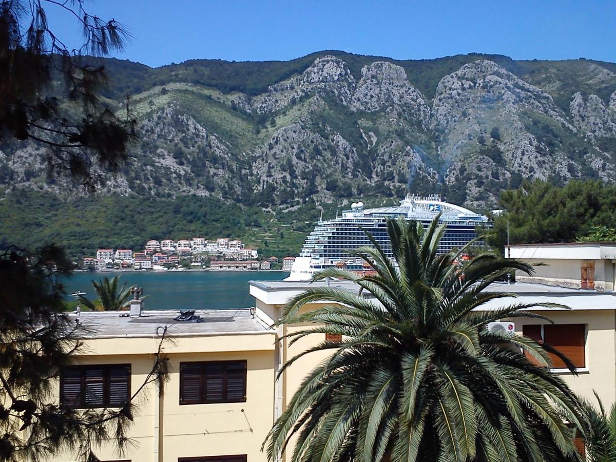 Apartment Oaza Kotor Buitenkant foto