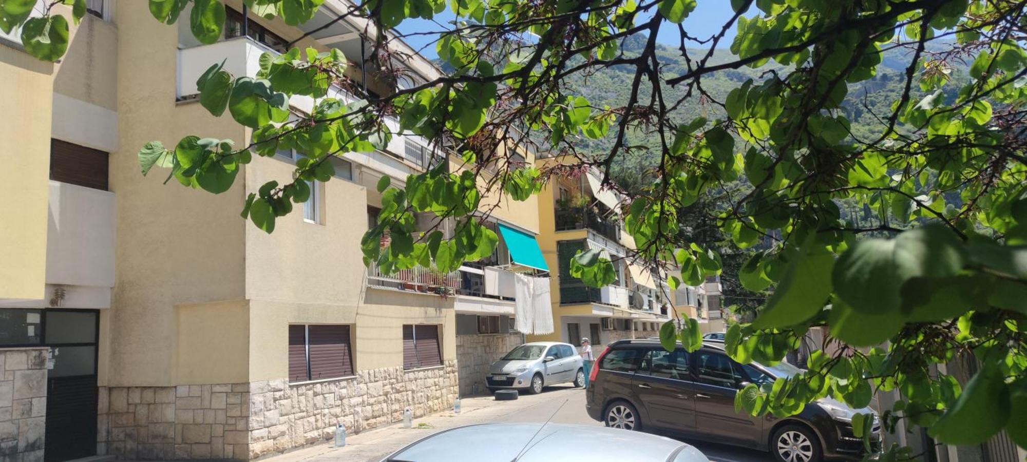 Apartment Oaza Kotor Buitenkant foto